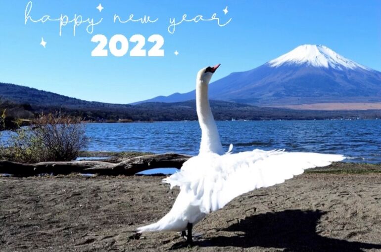 2022
